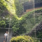 毎月１回の体験会でした