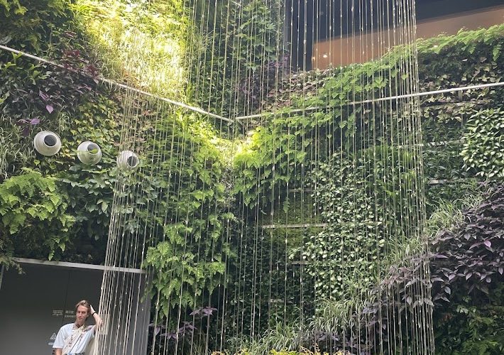 毎月１回の体験会でした