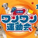 フレー！フレー！パピィ♫チェリー♫