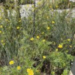 いよいよ引っ越しだぁ